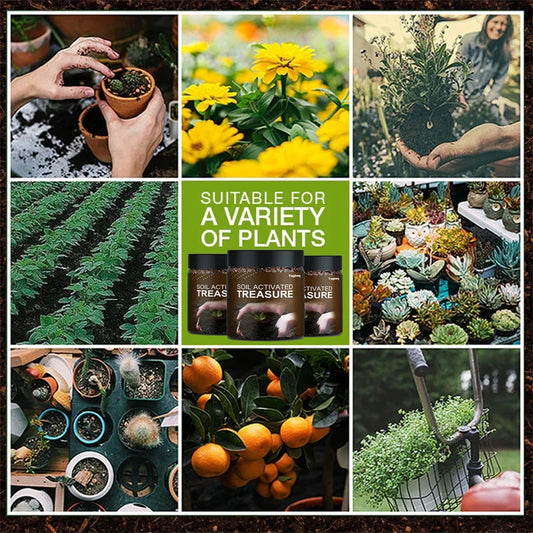 Plant Root Growth Promoter Powder — 100g/200g Natural Plant Hormone Booster for Stronger Roots & Healthier Growth