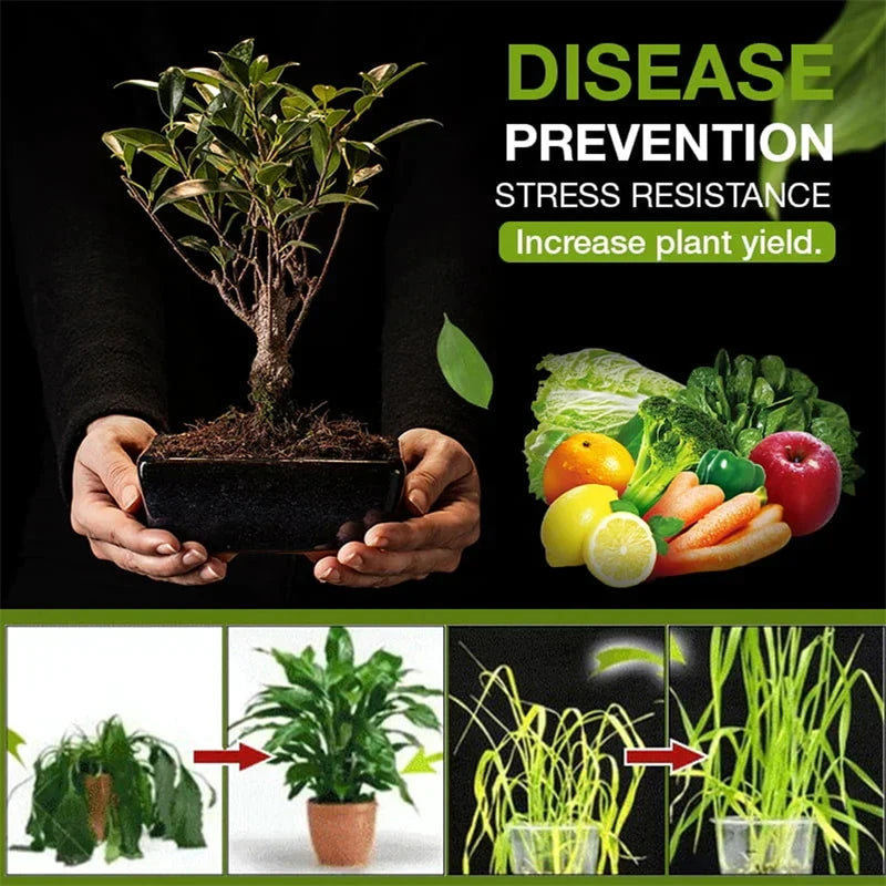 Plant Root Growth Promoter Powder — 100g/200g Natural Plant Hormone Booster for Stronger Roots & Healthier Growth